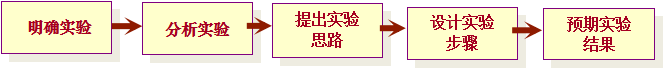 b14618bbd4f64cf38c85282d4ef2525c.png