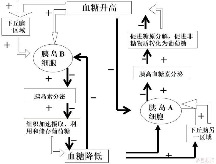 004b27b8955541b5bad409b5ecf972b1.Png