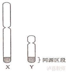d856e49cb9d149d3bf9e38fc21ecc142.Png