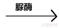 0261550ecbb742bd89921cf241f9c4bb.Png