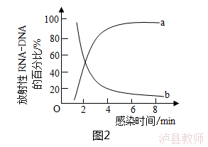 0331c27d77c141538f26ea94867ecf09.Png