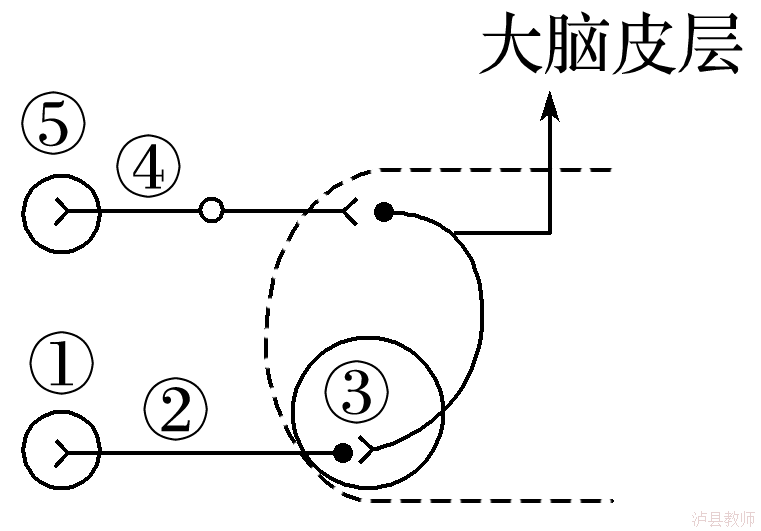 07f452a78ae446c1972a5c1d97e8f82f.Png