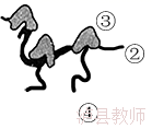 14cb02f98c4e482d904ec8b5f8220227.Png