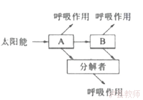1e19e5912a8c45e4ab156ba603c65ee2.Png