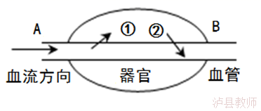 24403ebaf739433aa120f0f58eb09219.Png