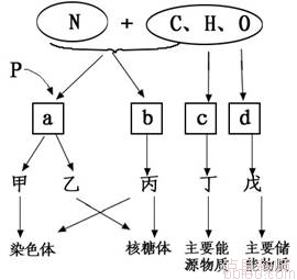 25e3cb754505409295d93415f0d47345.Png