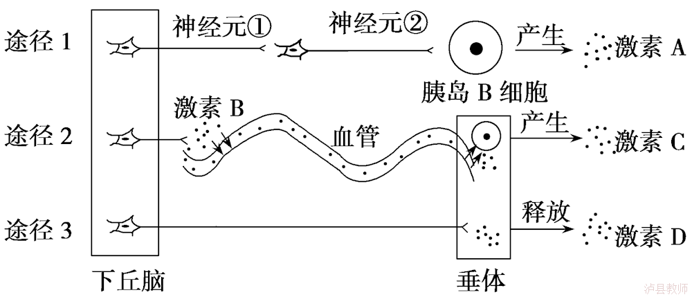 2d36dd818808448996e7a166ca9d86d8.Png