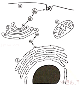 2f889a46368844e4ad2735e2b335e003.Png