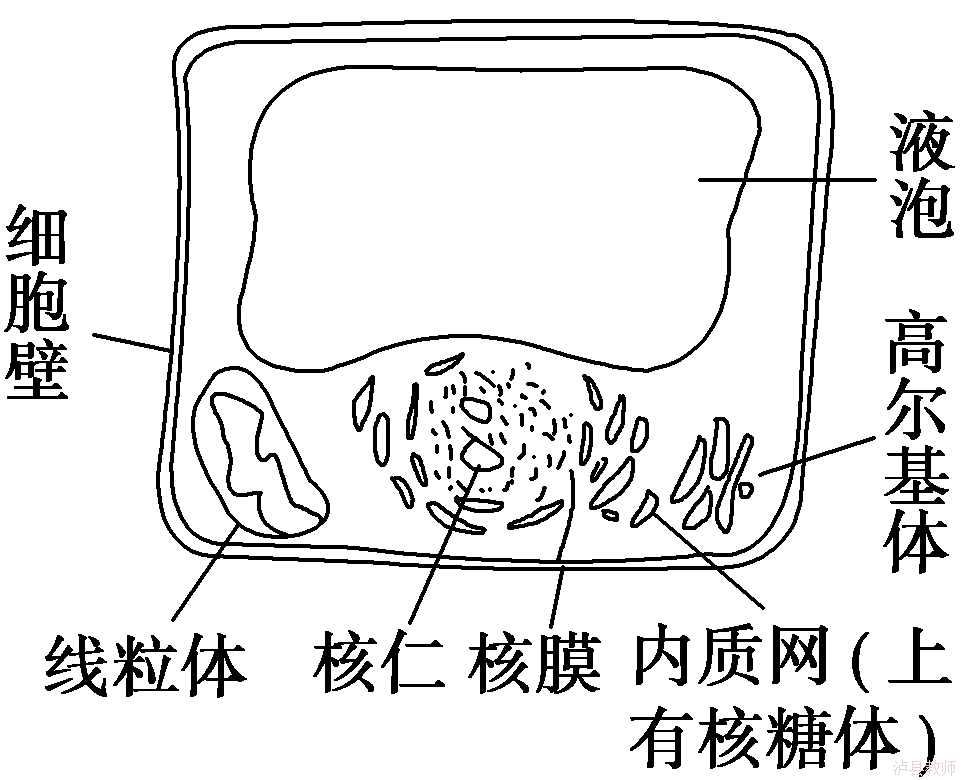 30116d265a034f5783b49f403295a715.Png