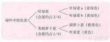 30cc1b4675c742cbbf52d65920f69804.Png