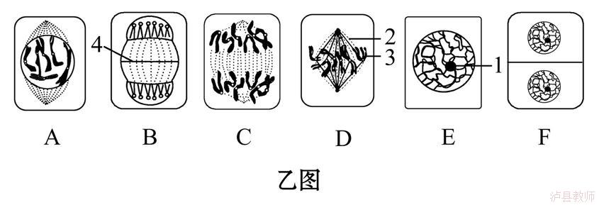 36a379e6272a4ecd8e9a173285964367.Jpeg