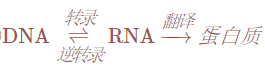 3977acdaecb9479a9a8630b81f54d297.Png