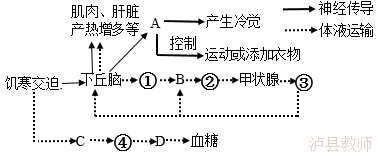 3ce7d291cd814f9a8700e4fc59e0b29c.Png