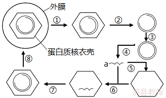 42061d0fd142435ea82aa8e8fd43c4d7.Png