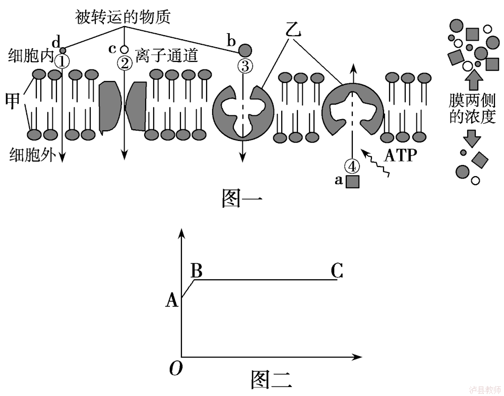 47449561e4774decb6572e7bdcfa5f88.Png