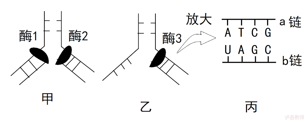 4b3c9c878d6a438bb98d0352fef8e4fa.Png