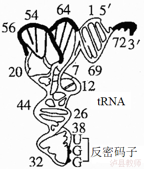 4c3c7bb80e874e20accf2ab541c730fb.Png