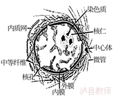 55be79ff4185496fbf58a4f3778eb368.Png