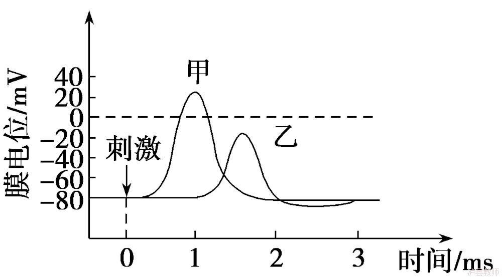 5662bd143bb54f15a7e83784e748938f.Png