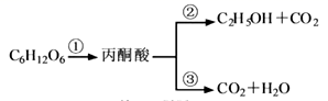607aee905f424df588de7f4b902b68a9.Png