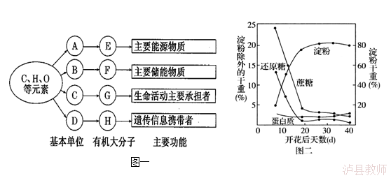 6c8a26556b98442c96a2e93dec3145bf.Png