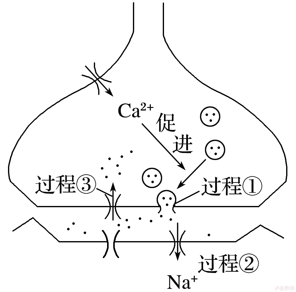 6fd343901c2648529aefc4e14c83b65d.Png