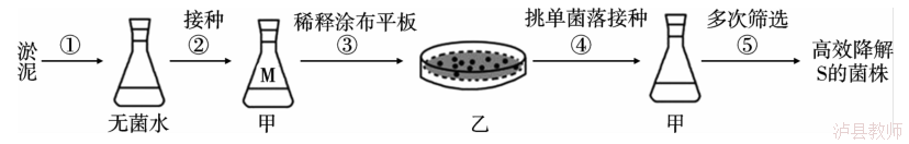 74ef2e1c626b40959bc6ad986c03488d.Png