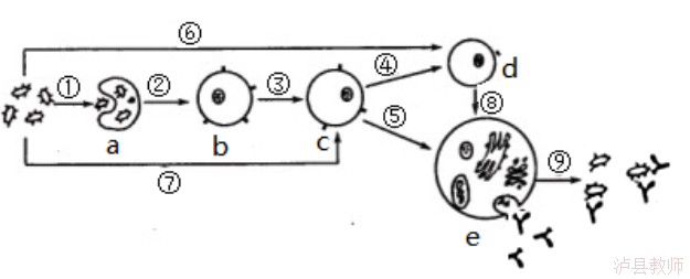 806d838f949f4123892ff674b469eaf7.Png