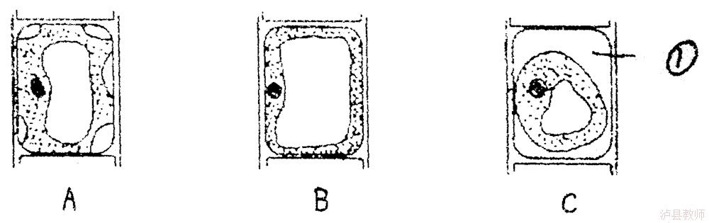 834577ba35ab407c8ab21c29d8344b8d.Png