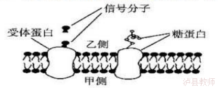 841bb2b20e464fc58db1c483ded288d7.Png