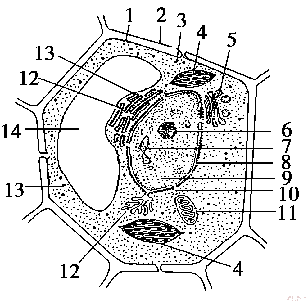 84fd3faf866c4b59a422f0ea3e8dd609.Png
