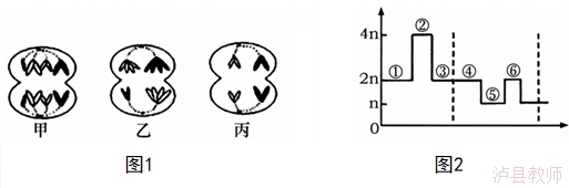 86857f58513b428885786433de3f0207.Png