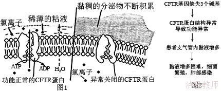 8c1af74abd9e49cbbdbc37dec05a37c3.Png