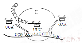 90cf34f6a046459e854683753cd5de0d.Png