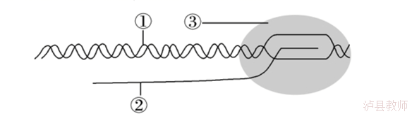 952357e9f04a4975bbd13abc0898d11c.Png