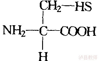 9675e076309040c7853ba684806e075d.Png