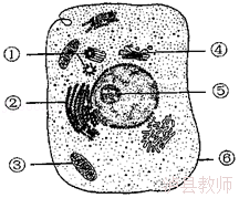 9d0f1b8938fe4000a1ee5a819b858250.Png
