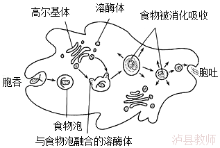 9e1482259aef4753b6152a53d5ed0130.Png