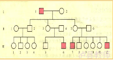 a1da4862cc6c4366b1dd050fd1365261.Png