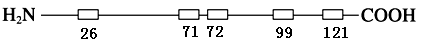 afcecc2b93f04db483154583a337aafe.Png