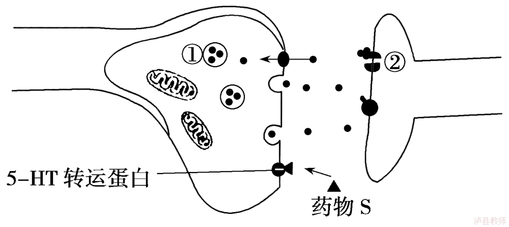 b01e51d12d72403fb38987a0de17a328.Png