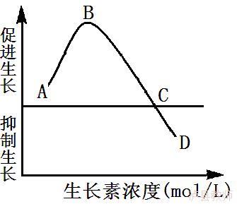 b470e557ddfa4c55908a87d9cc1c08e4.Jpeg