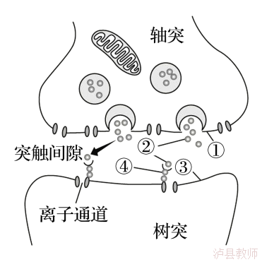 b5dcfe49c9f8454c8109866ddaa3ab15.Png