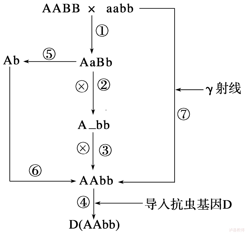 bc1660350a204d378a339689ea915dd7.Png
