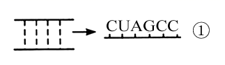 bd4902ee9566458cb0c8f8050a194089.Png