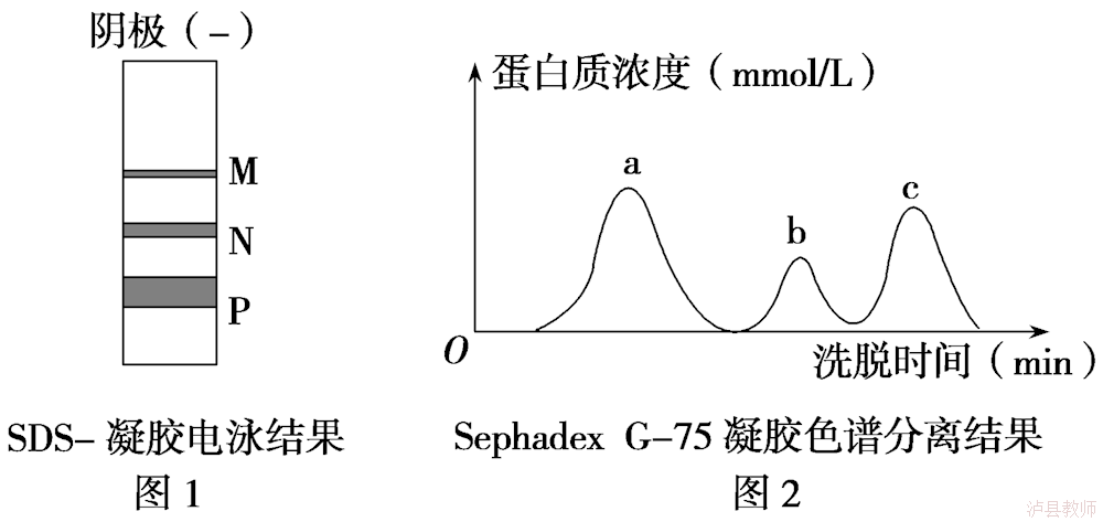 c72ad114fd6545e7b29fa54195ae81f6.Png