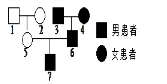 d596aed0876441b9837fc7f4b7203617.Png