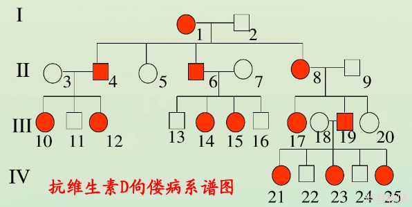 d7d17bb129a34ab2a98616cf261e6c4c.Png