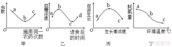 d95a0b9bdb2e4ca291bfdeb6f987baa1.Png