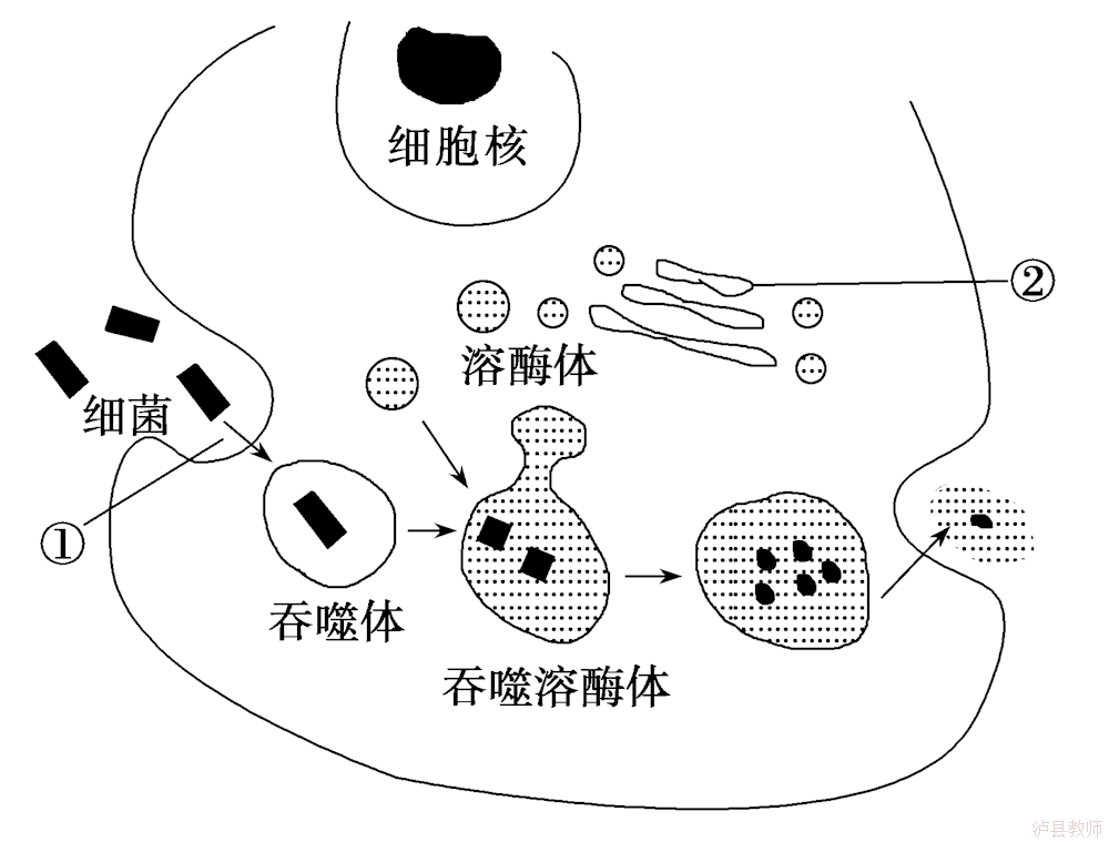 dc53b1ab56804d378a356d370aa47391.Png